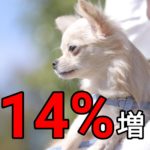 14%増の犬を迎えた家族がすることは？