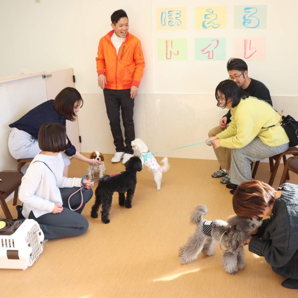子犬限定しつけ方教室～基礎編～ 神戸市で子犬のしつけをKDSメソッドで成功へ導きます