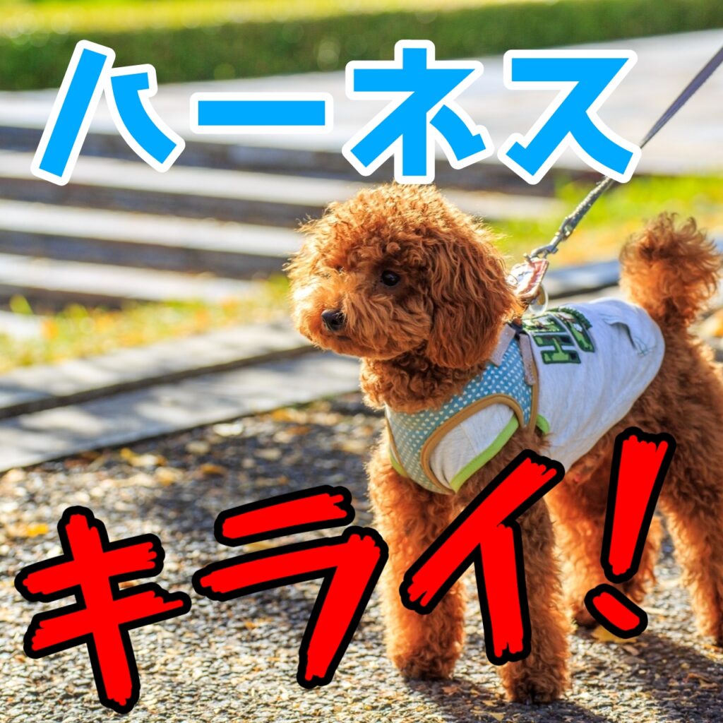 犬 ハーネス ストア 嫌う