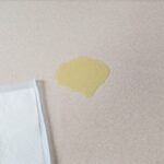 【初心者向け】子犬のトイレ成功率を上げる３つのステップ