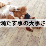 他のわんちゃんに興奮する子犬の対処法とは？