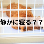 ケージで吠える子犬にどう対処する？正しいしつけ方法とは