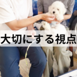 子犬のしつけがうまくいく大切な視点