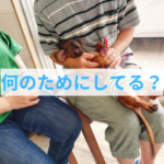 子犬のしつけの鍵！クレートトレーニングの重要性とは？