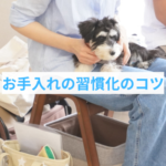 子犬のケアに共通する成功の秘訣