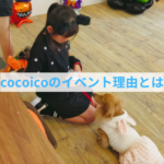 cocoicoがハロウィンイベントを開催した理由