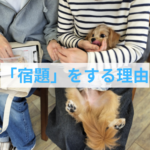 子犬との生活をもっと楽しく信頼関係を築くためのコツコツ習慣