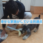 愛犬との日々が教えてくれる日々の積み重ねの大切さ