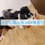 日常を変える子犬の小さな冒険