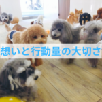 愛犬との未来を変える！行動することの大切さとは