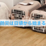 災害から愛犬を守る！クレート活用と避難対策の最新ガイド