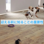 子犬を迎える前に知っておいてほしいこと