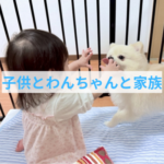 赤ちゃんが産まれたらわんちゃんはどうする？家族が増える時のわんちゃんの心のケアとは