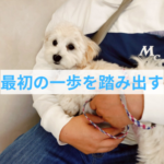 「子犬との暮らしがつらい…」そんな飼い主さんへ伝えたい“最初の一歩”