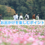 わんちゃん連れのマナーが未来をつくる｜“また来てほしい”と思われる3つの工夫