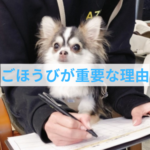 愛犬のしつけは“ケチらない”が正解！ごほうびと信頼関係の深い関係