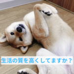 子犬の生活の質を上げる大切な方法