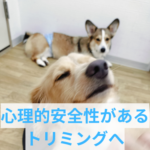 飼い主さんとわんちゃんの気持ちを繋ぐトリミング