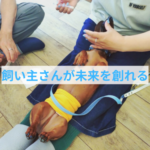 健康で長生きを作れるのは飼い主さんだけ⁉