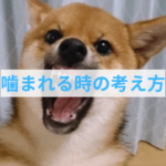 噛むことに対して間違った対応してない？