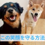 後悔のないわんちゃんとの暮らしを送るために