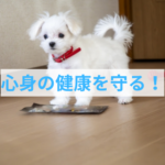 心身の健康に大切な事できてますか？