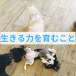 わんちゃんと楽しく暮らすために必要な事