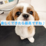 トリミングの土台となる考え方