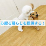 cocoicoの大切な価値観
