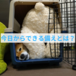 災害時に慌てないために練習しておく物