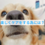 楽しくブラッシングする為にどうする？