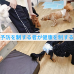 歯のチェックで感じる予防の重要性