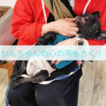 わんちゃんが人の言葉が分かる理由
