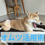 初めての帰省で部屋を汚さない工夫