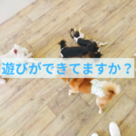 しつけがうまくいく遊びの重要性