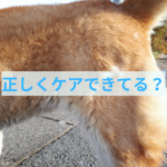 暑い時期だからこそ正しくケアをする理由