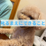 飼い主さんが描く未来に繋がるしつけになってますか？