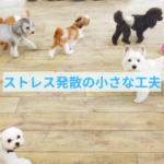 暑い時期にストレス発散の為の「小さな工夫」