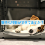 安全な車移動をするための小さな習慣