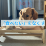 「食べない」を解決する３つのステップ