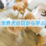 世界犬の日から考えるしつけの大切なポイント