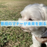わんちゃんとの暮らしがさらに楽しくなるように