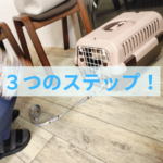 【飼い主さん必須】クレートを教える３つのステップ