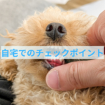 歯周病を予防する自宅でできる「３つのチェックポイント」