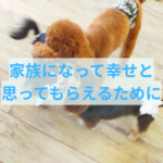 愛犬が家に来て幸せと思ってもらえる方法
