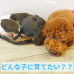 どんな子に育てたい？かを実現する方法