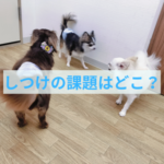 しつけがうまくいく考え方