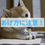【危険】わんちゃん用のガムをあげる時の注意点！