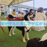 飼い主さんとわんちゃんが楽しく過ごすために必要なこと
