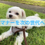 飼い主さんがおこなう３つのマナー